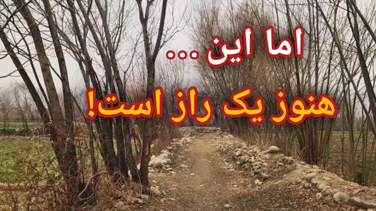 حقیقتی که قبل از تولد می‌دانستی و بعداز کودکی فراموشت شد | تو با فرکانست به هدف می‌رسی، نه با تلاشت