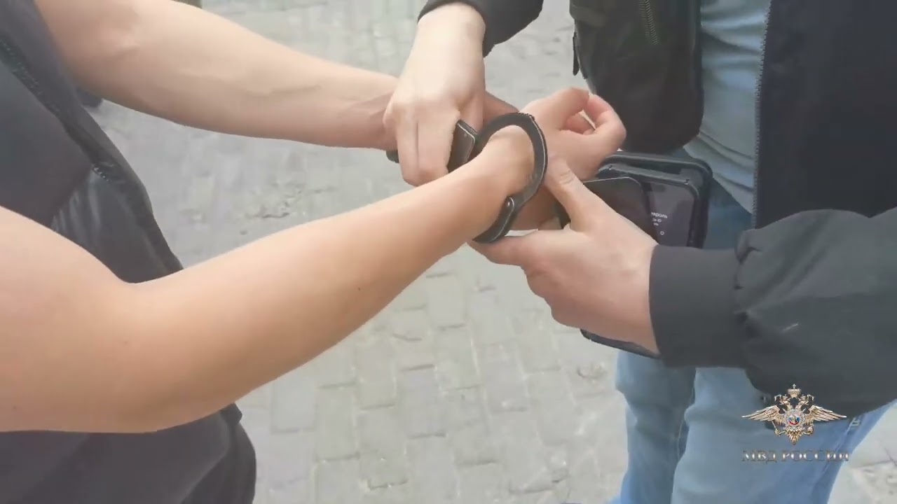 Ирина Волк: В Санкт-Петербурге полиция пресекла деятельность участников организованный группы
