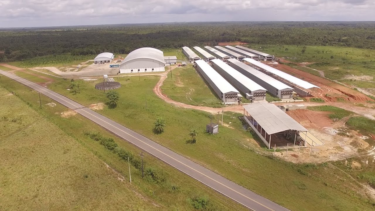 GRANJA NOVO HORIZONTE NO PARÁ