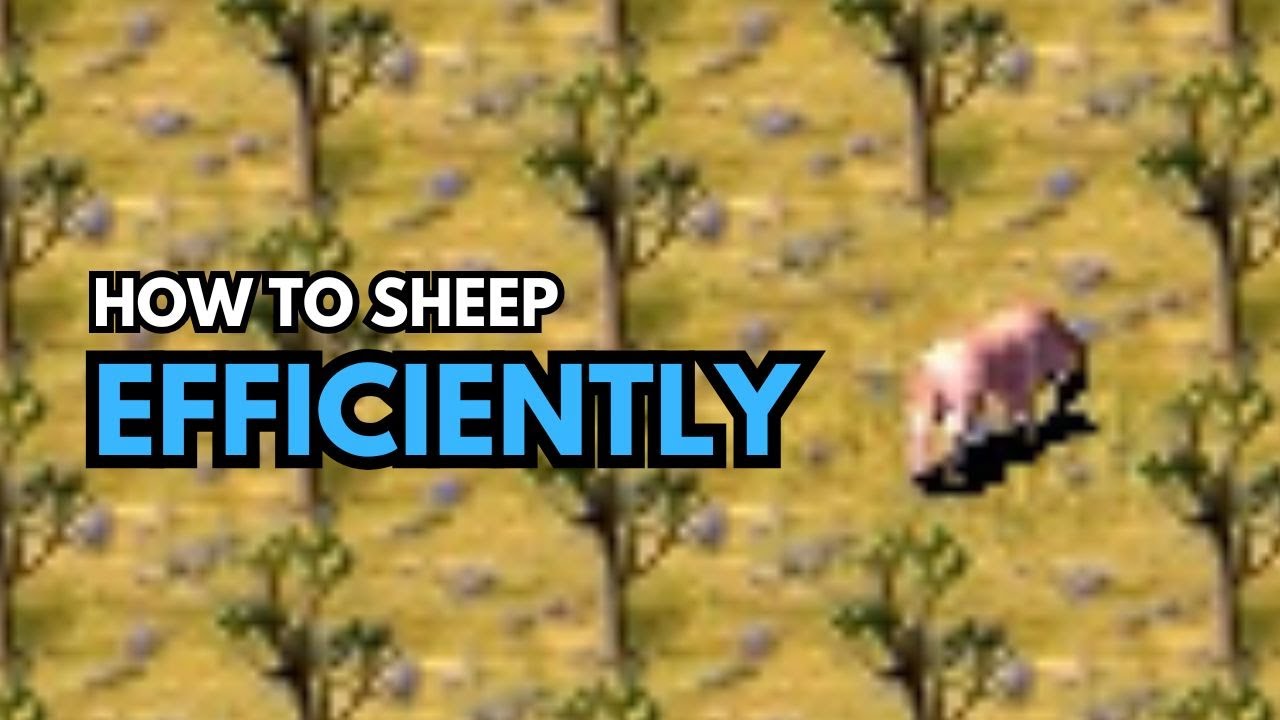 HOW TO SHEEP EFFICIENTLY | Zeus Master of Olympus