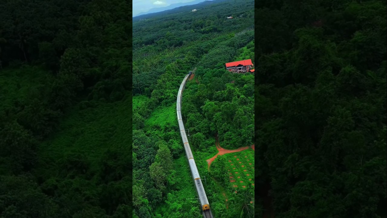 mansoon in kerala #mansoon #nature #trendingshorts #viral @mithileshyadavup50