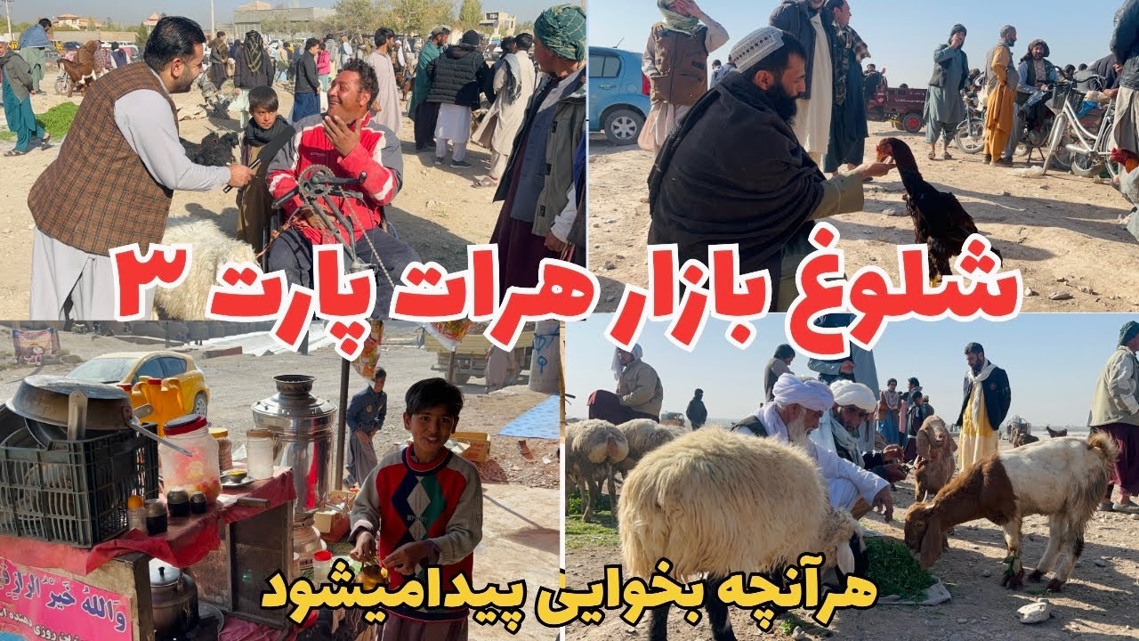 شلوغ‌ترین بازار هرات! جمعه بازار پشتون پل؛ از پرنده تا لباس و ابزار همه‌چیز اینجاست .