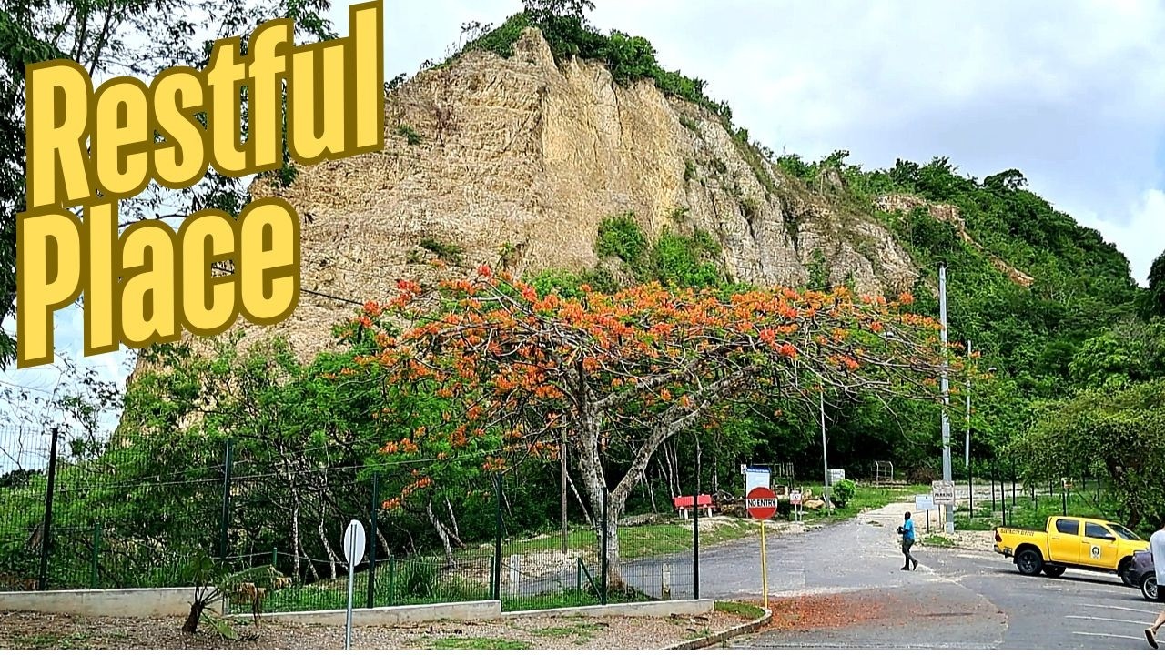 Above the Crowd - San Fernando Hill