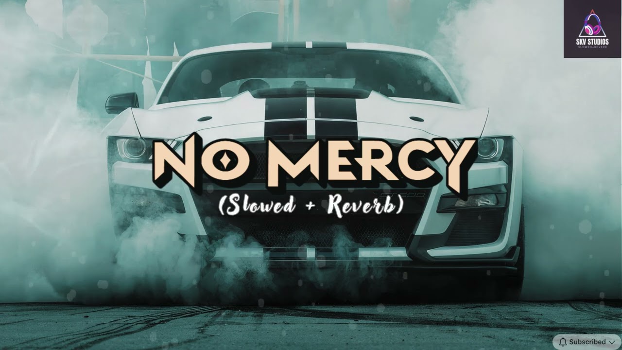 NO MERCY : (Slowed + Reverb) Dhanda Nyoliwala | Desi Melbourniye | Lofi song| 