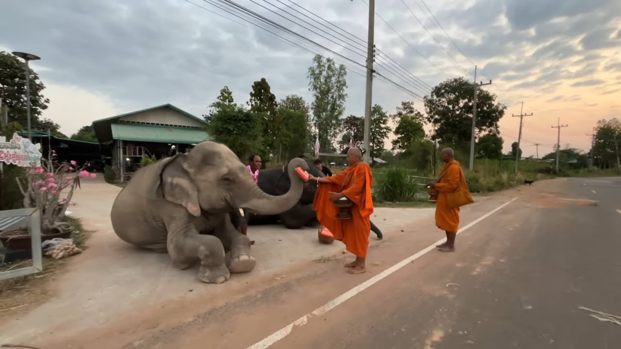 ครั้งแรกของแม่แป้ง ใส่บาตร  วันเกิดแม่น้ำฝน