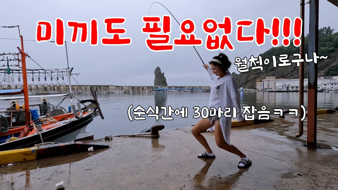 매일매일 엄청난 양의 밑밥을 공짜로 뿌려주는 항구. 여기 미쳤어요! 물고기가 바글바글 합니다.