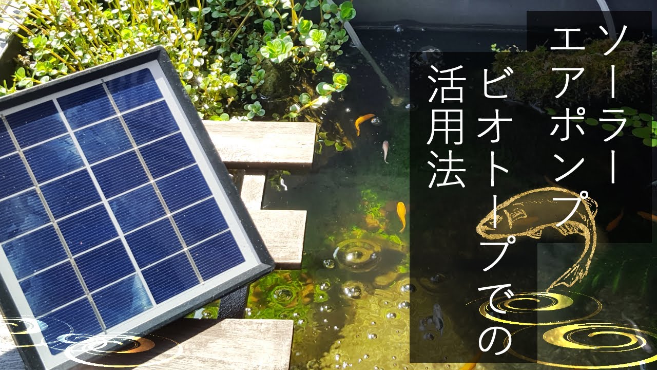 【メダカビオトープ】ソーラーエアポンプの活用法｜NFESOLAR