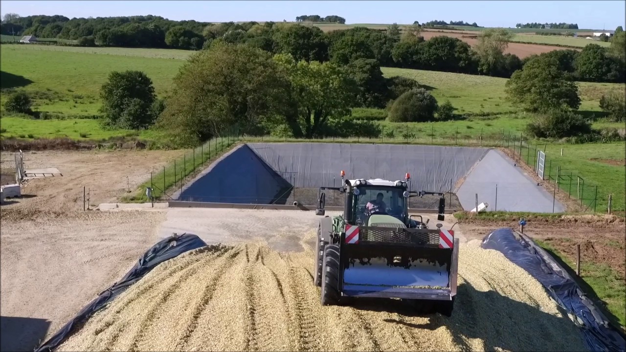 Ensilage de maïs à St Pol de Léon