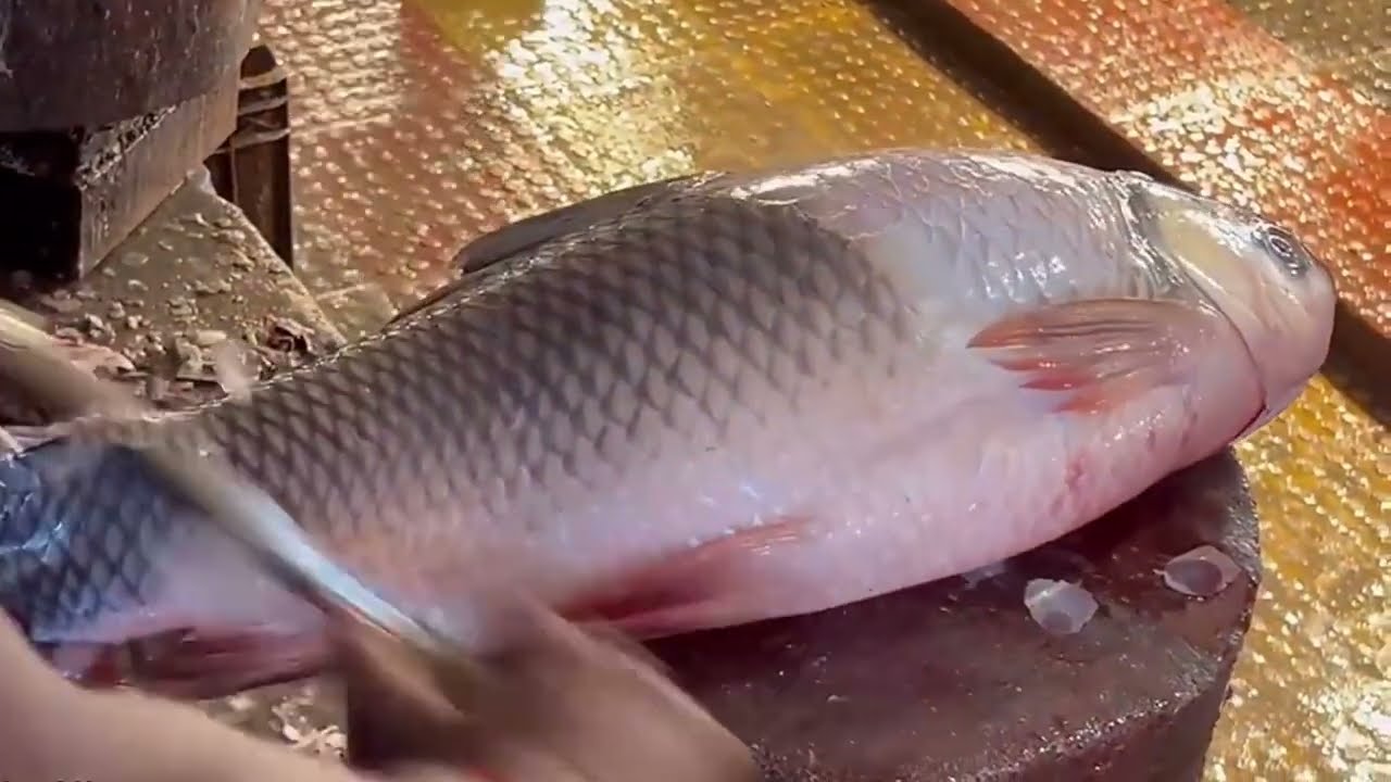 One clean cut, chopping mega fish 🐠 @HongyuASMR @Jane_asmr  @AdiFishman 