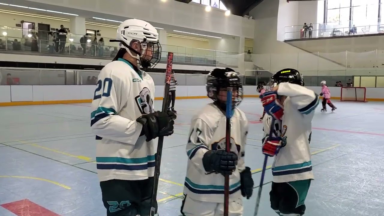 20260301_第52屆假日盃全國聯賽_小高A_Seals vs 野馬 (3-2)