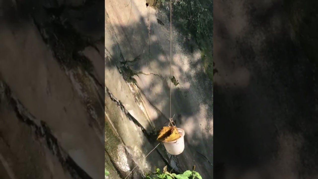 Mother Nature Holding Giant Honey Bee