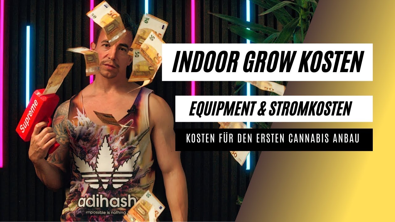 Welches Equipment & Kosten f&uuml;r den ersten Indoor Cannabis Anbau | 130 Watt, 60x60 Grow