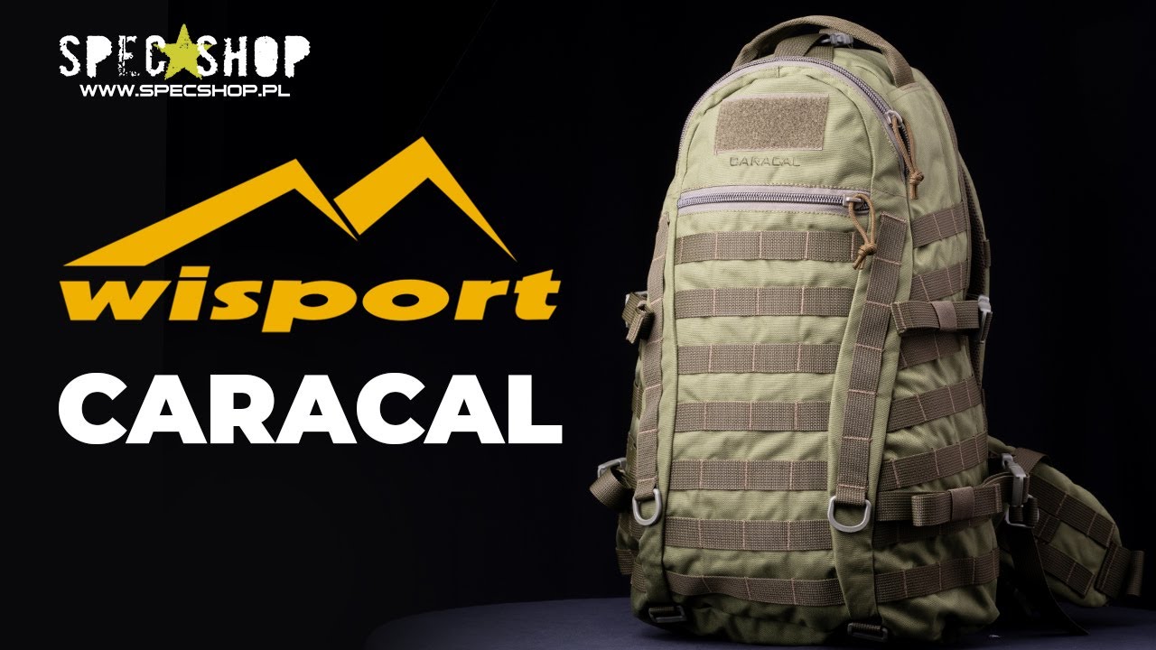 Wisport Caracal - SpecShop.pl