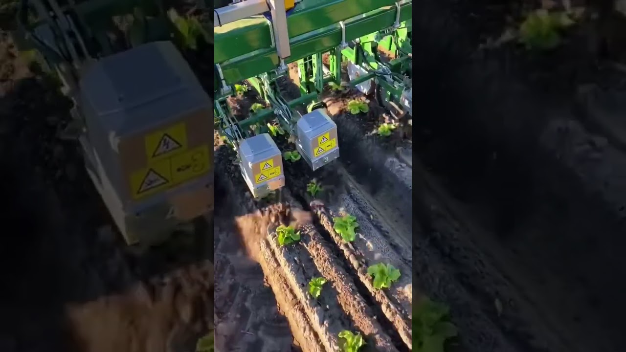 Smart agriculture machinery 🚜| Technologically advanced mechanical weed control #shorts #machinery