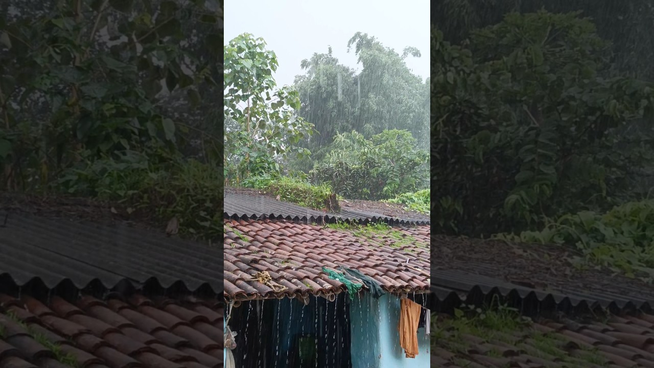 Chhattisgarh weather update tomorrow 26 july heavy rain alert #shorts