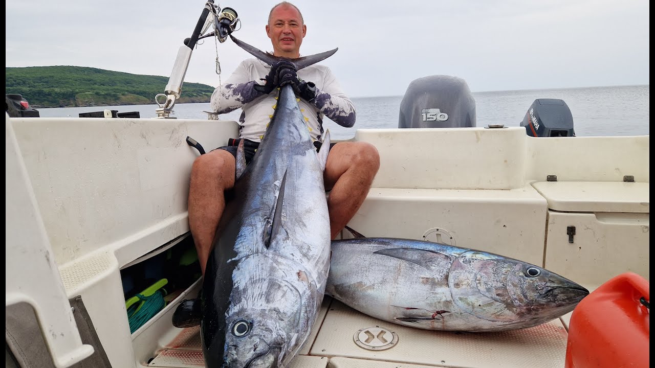 Итуруп. Охота на голубого тихоокеанского тунца #tuna #fishing