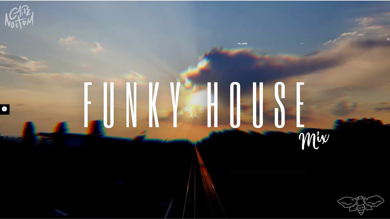 Funky Disco House #1 / Garden Set  2023