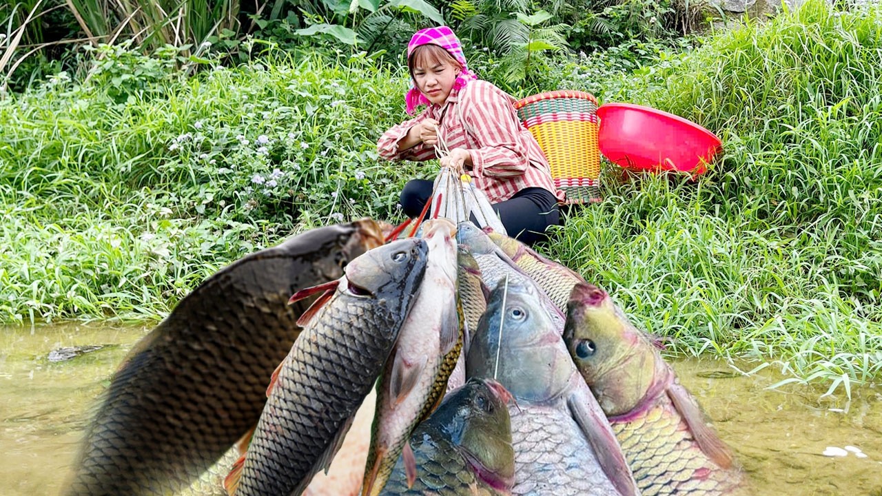 Technique for catching giant fish using plastic bottles - Poor single girl catches a lot of fish