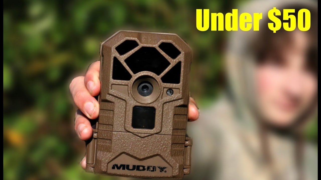 Muddy Hunter 14 review | The best budget trail cam?