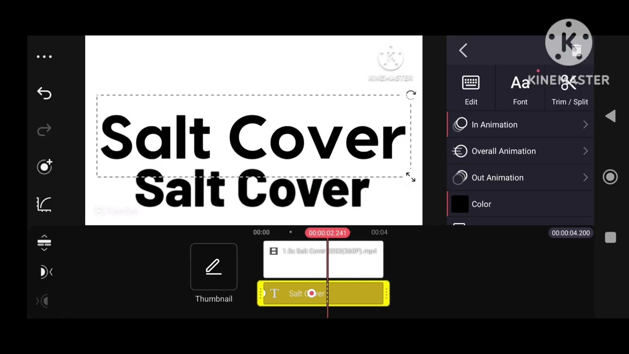 Salt Cover 2053 Logo Remake Budge Speedrun be like