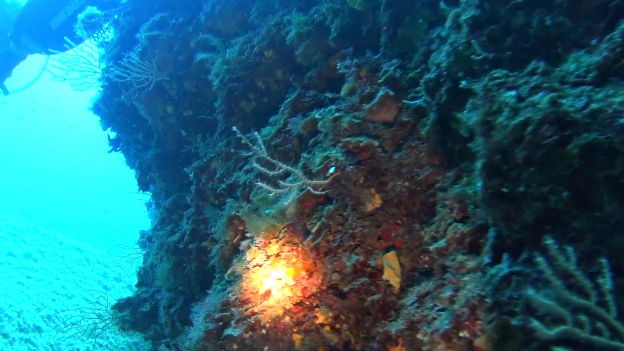 Diving - Isola dei cavoli - Villasimius