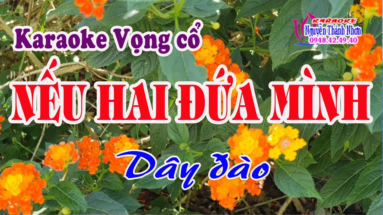 Karaoke tân cổ NẾU HAI ĐỨA MÌNH - DÂY ĐÀO