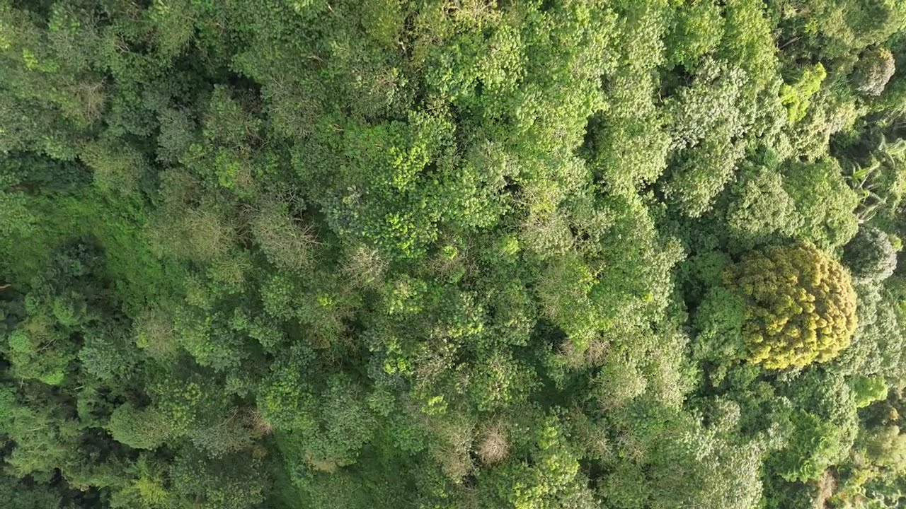 drone pendakian bukit semar 933 mdpl