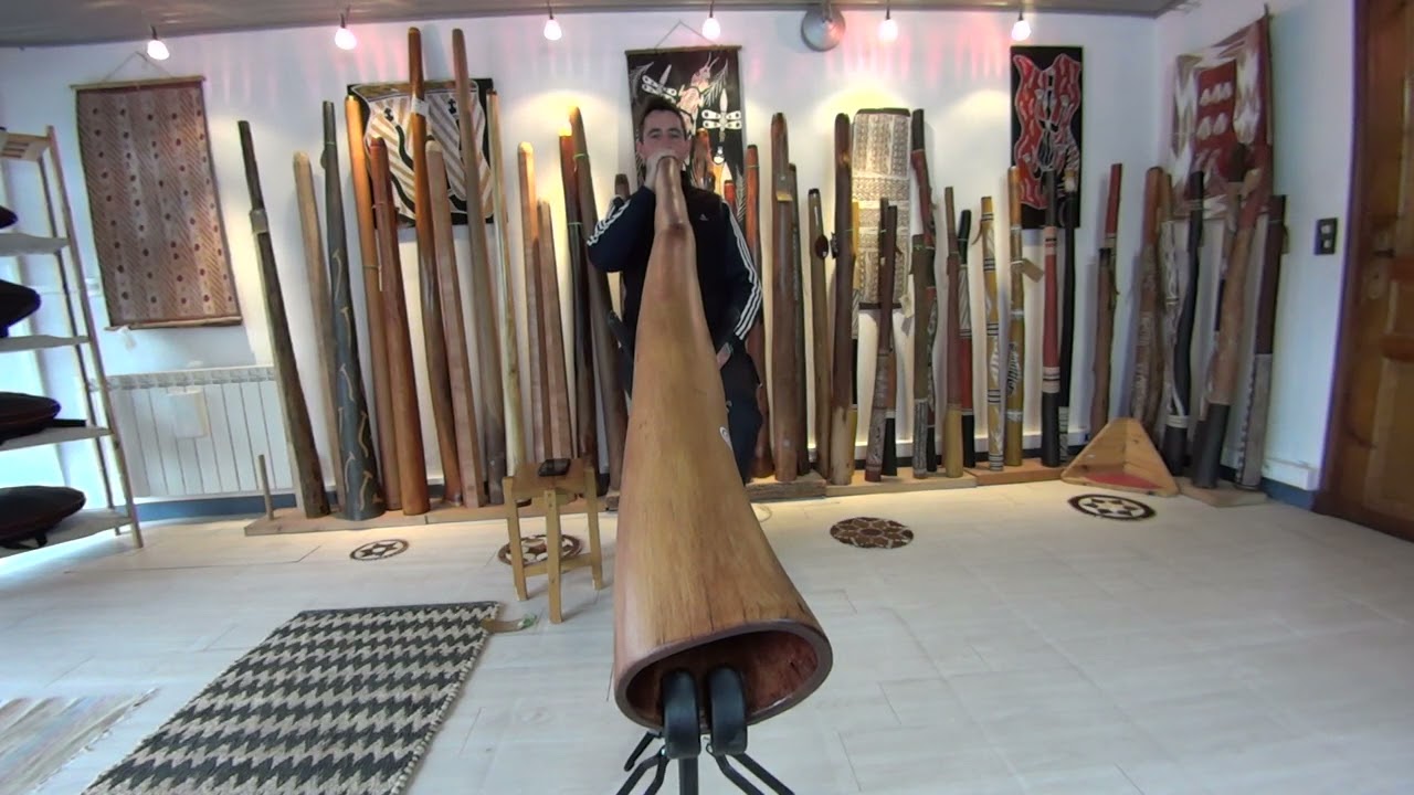 Kurungaï K16