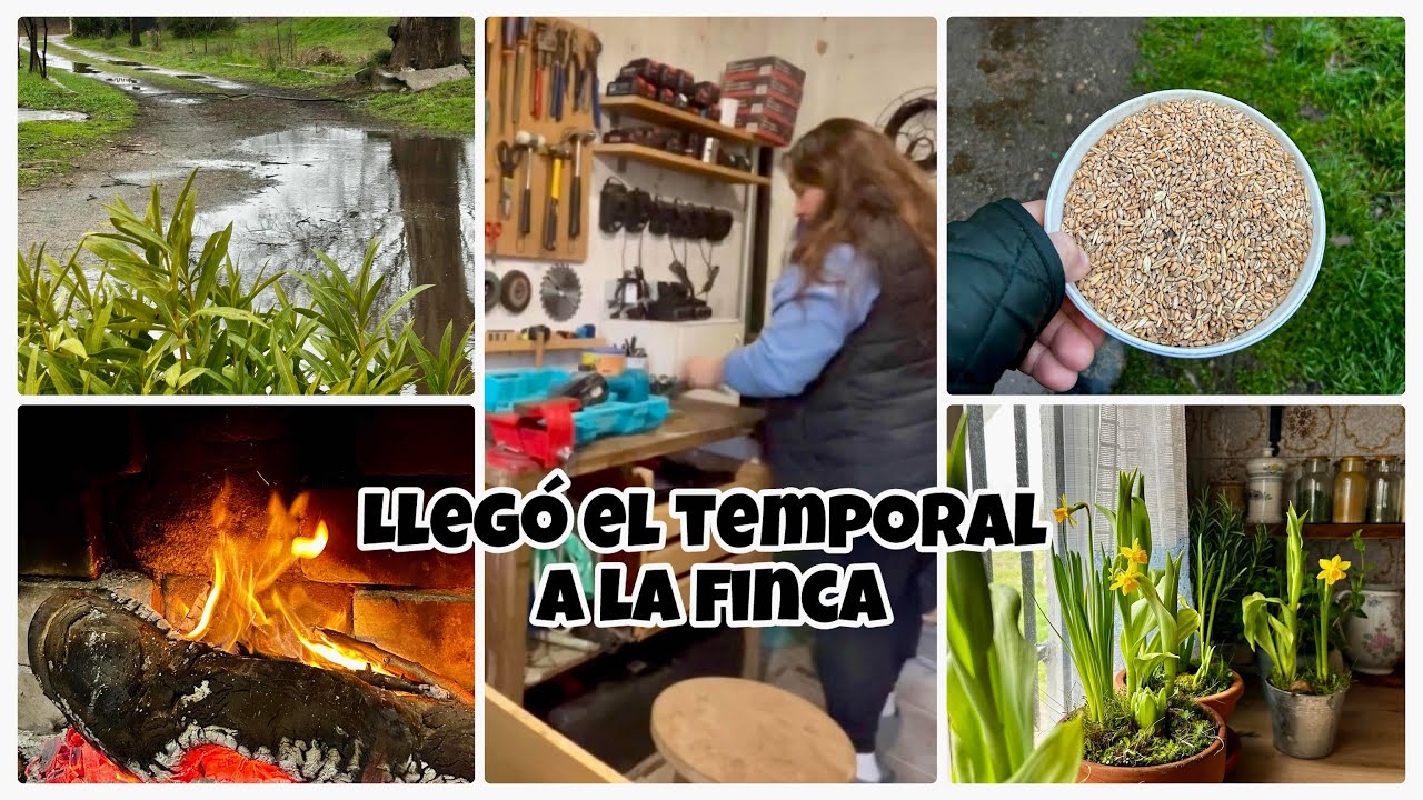 #214 🏡 Vientos fuertes y mucha lluvia 🌧️/ Trabajo en la finca 🏡/ Beicolaje ⚙️🤩