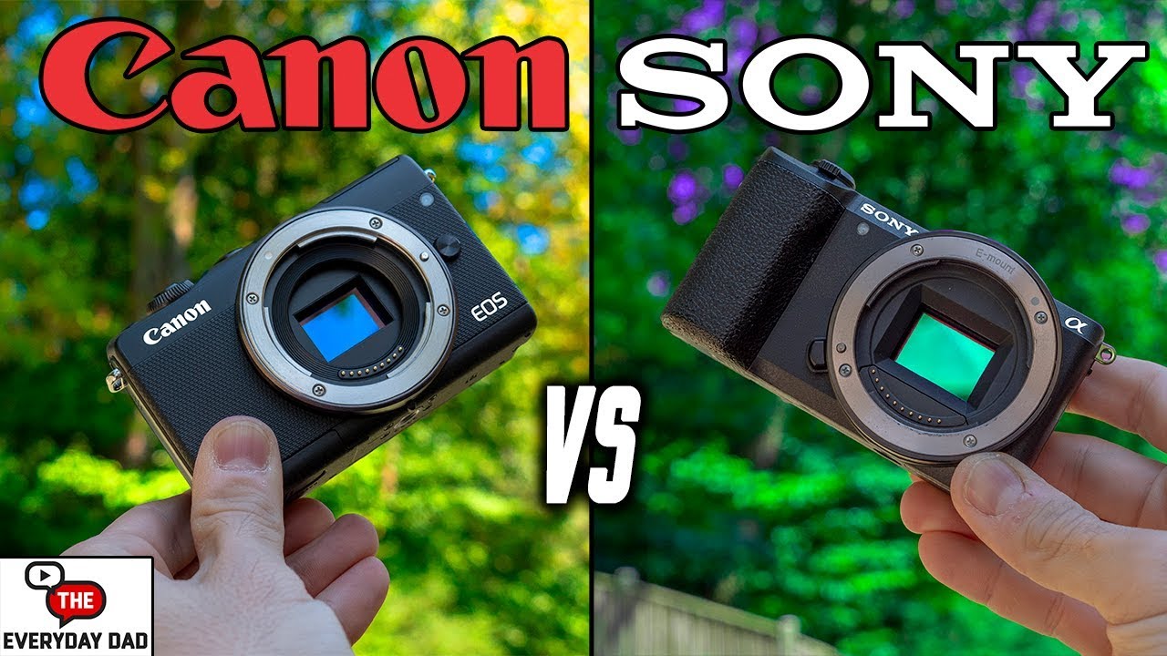 Canon M100 vs Sony A5100 Budget Camera Battle!