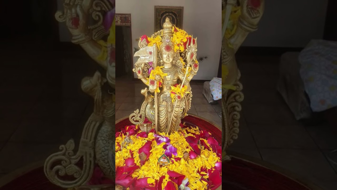 📿 குரு & சீடன் உறவுப் பற்றி 🪷 🪷 அகத்திய மகரிஷி 🪷 🪷 கூறியது 