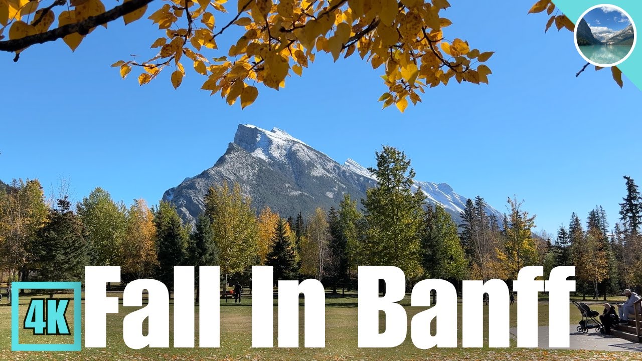 🍂 Beautiful Fall Colours In Banff 2025 🇨🇦 Part 1