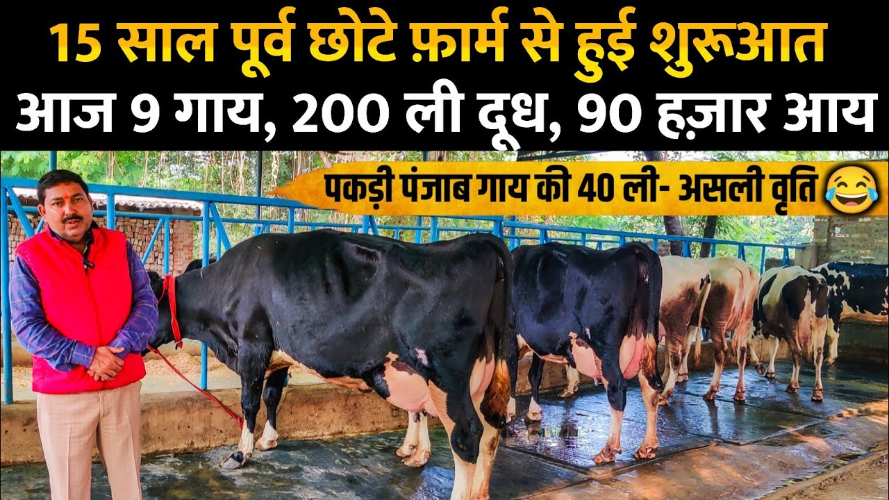 जानें किस परिस्थिति में शुरू किए थे डेयरी फार्म/dairy farm up/dairy farm business/abs cow