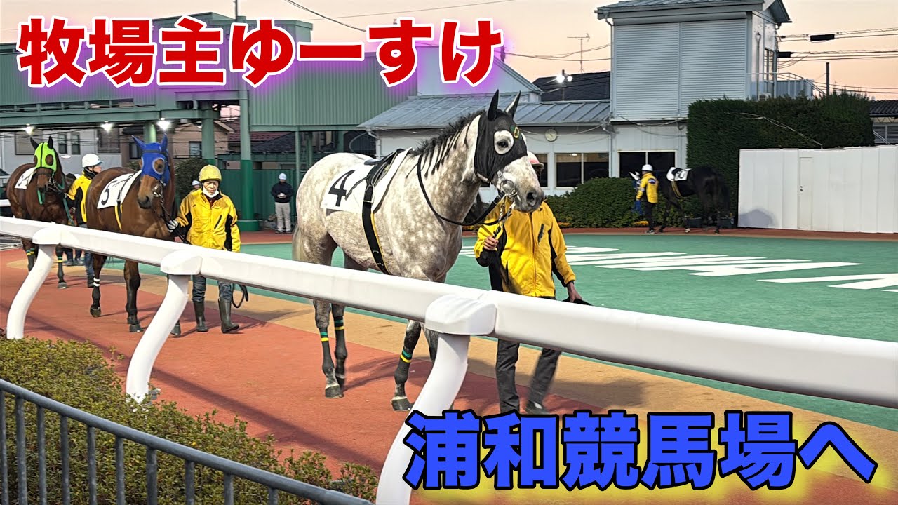 【牧場主ゆーすけ浦和競馬場へ】サンカプリス連勝なるか！？