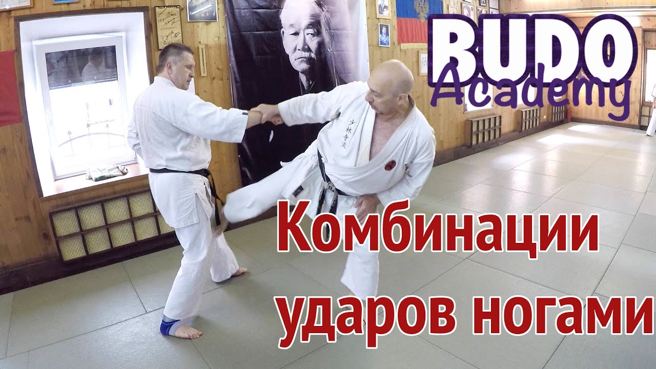 Комбинации ударов ногами.  Николай Коровин