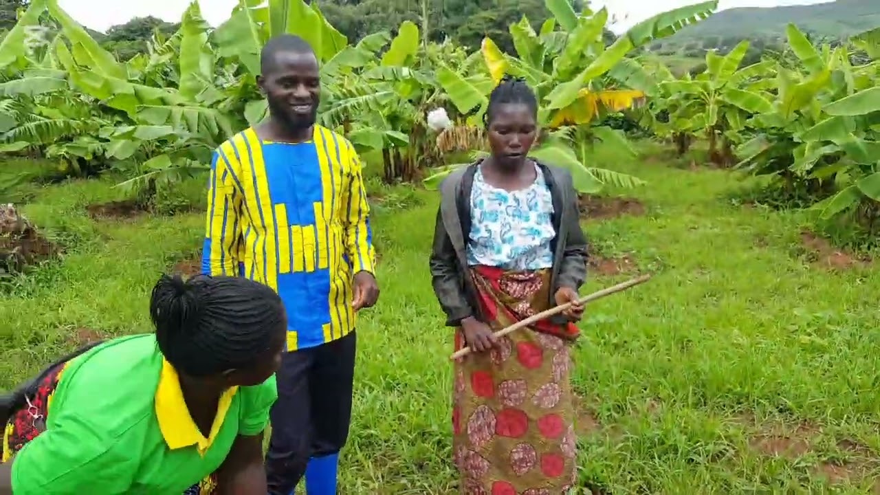 Banana farming..simple and easy way.