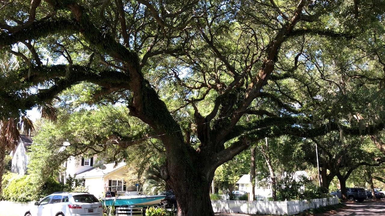 WALKING TOUR MCCLELLANVILLE SOUTH CAROLINA