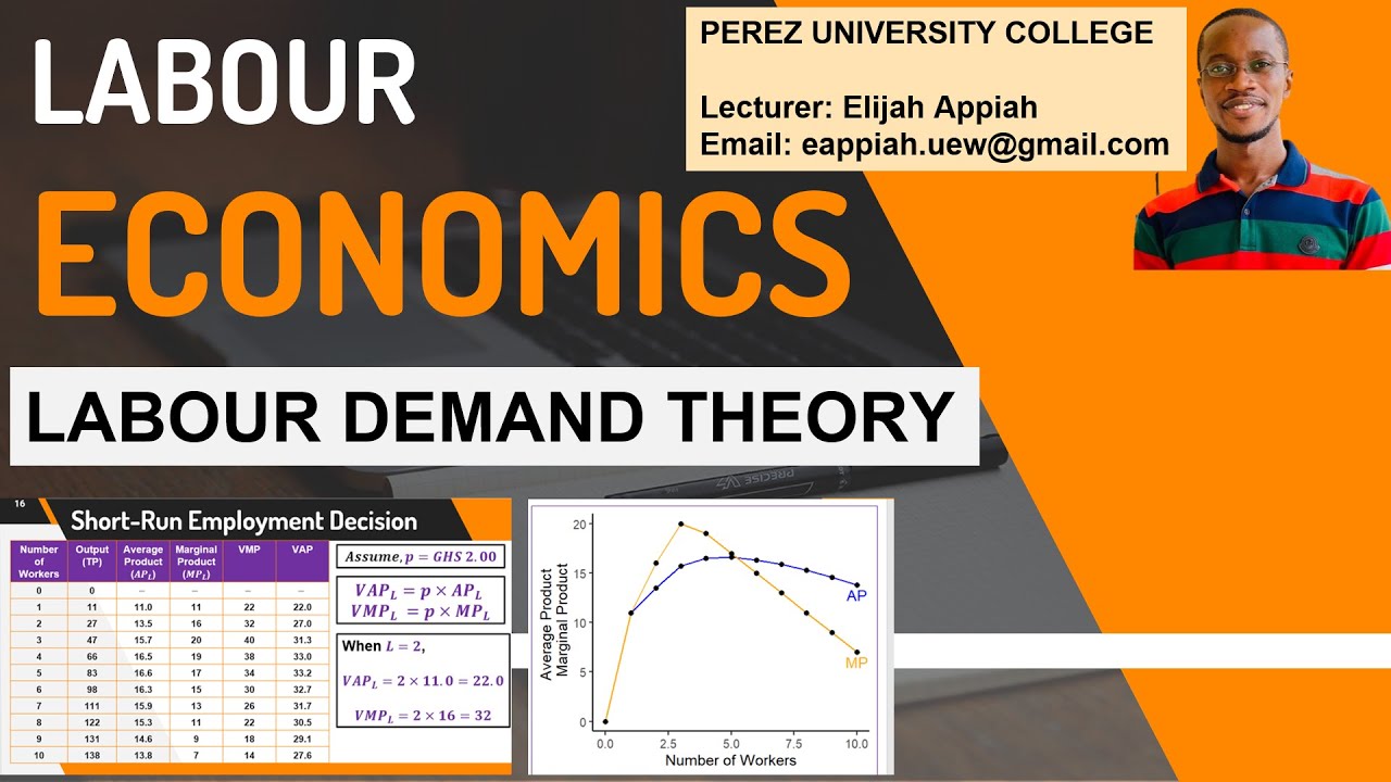 Labour Demand Theory