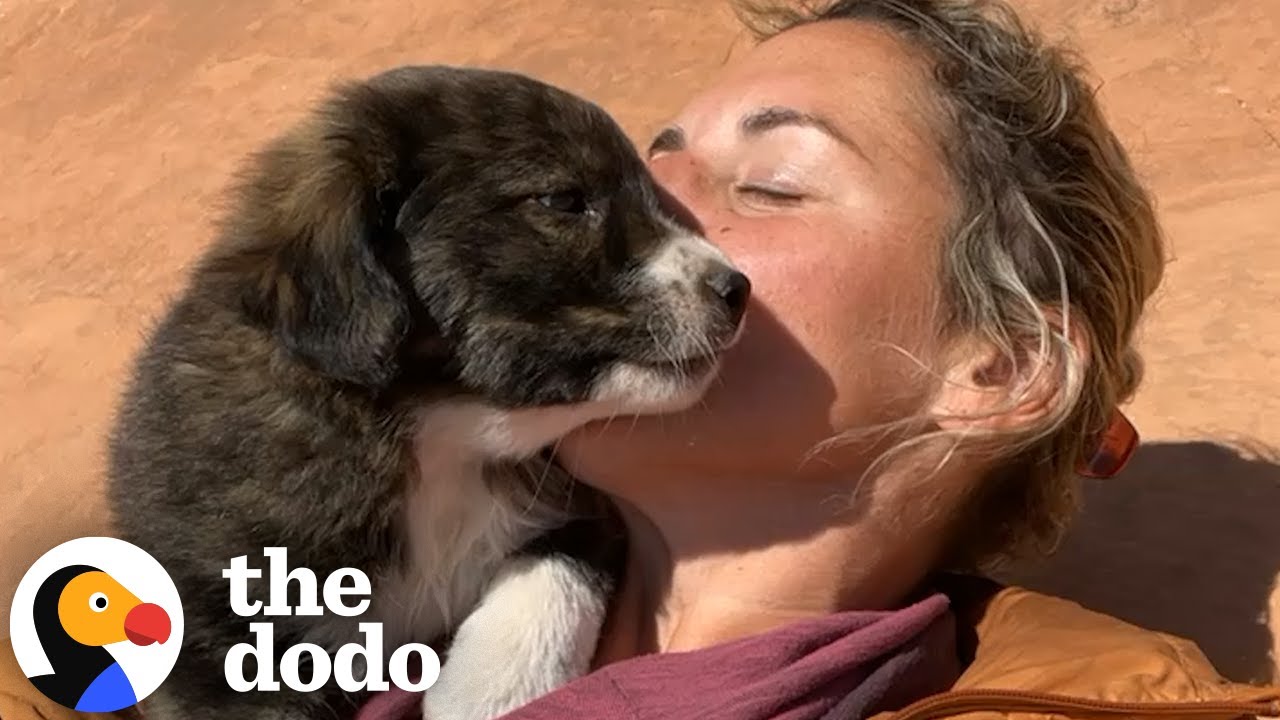 Fostering A Litter Of Puppies Is The Perfect Post-Divorce Move | The Dodo