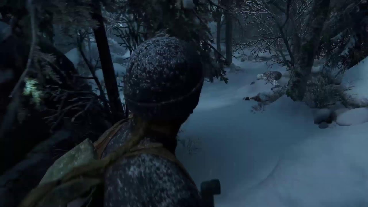 The Last Of Us 2