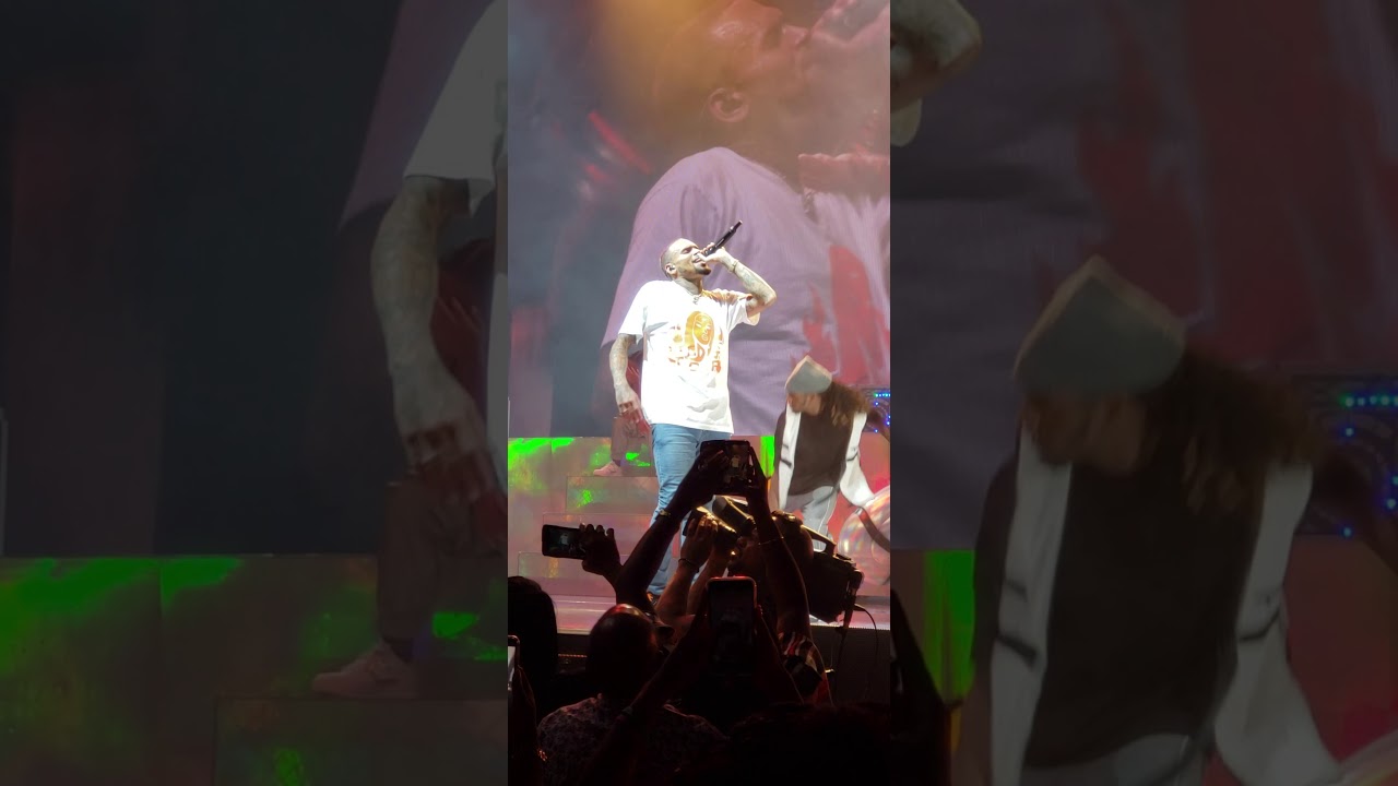 Chris Brown Indigo tour Charlotte, NC part 3 memory lane