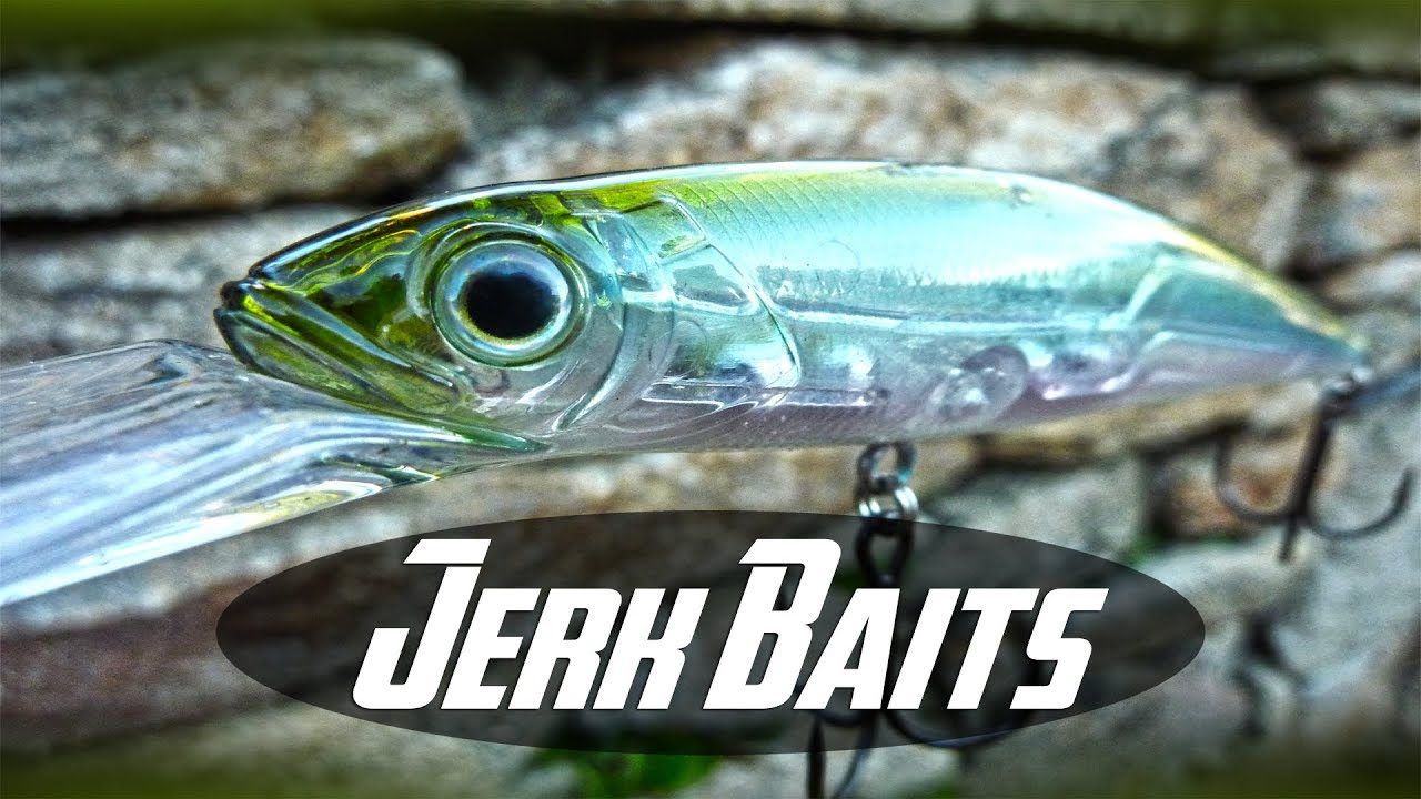PESCA con JERKBAITS | Mejores SEÑUELOS de Pesca