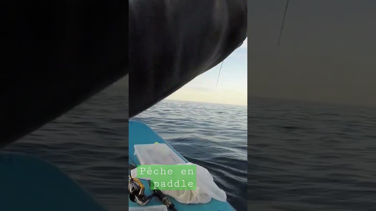 p&ecirc;che en paddle!!! ( BIG FISH )#paddlefish#m&eacute;diterran&eacute;e#p&ecirc;che#c&ocirc;tedazur