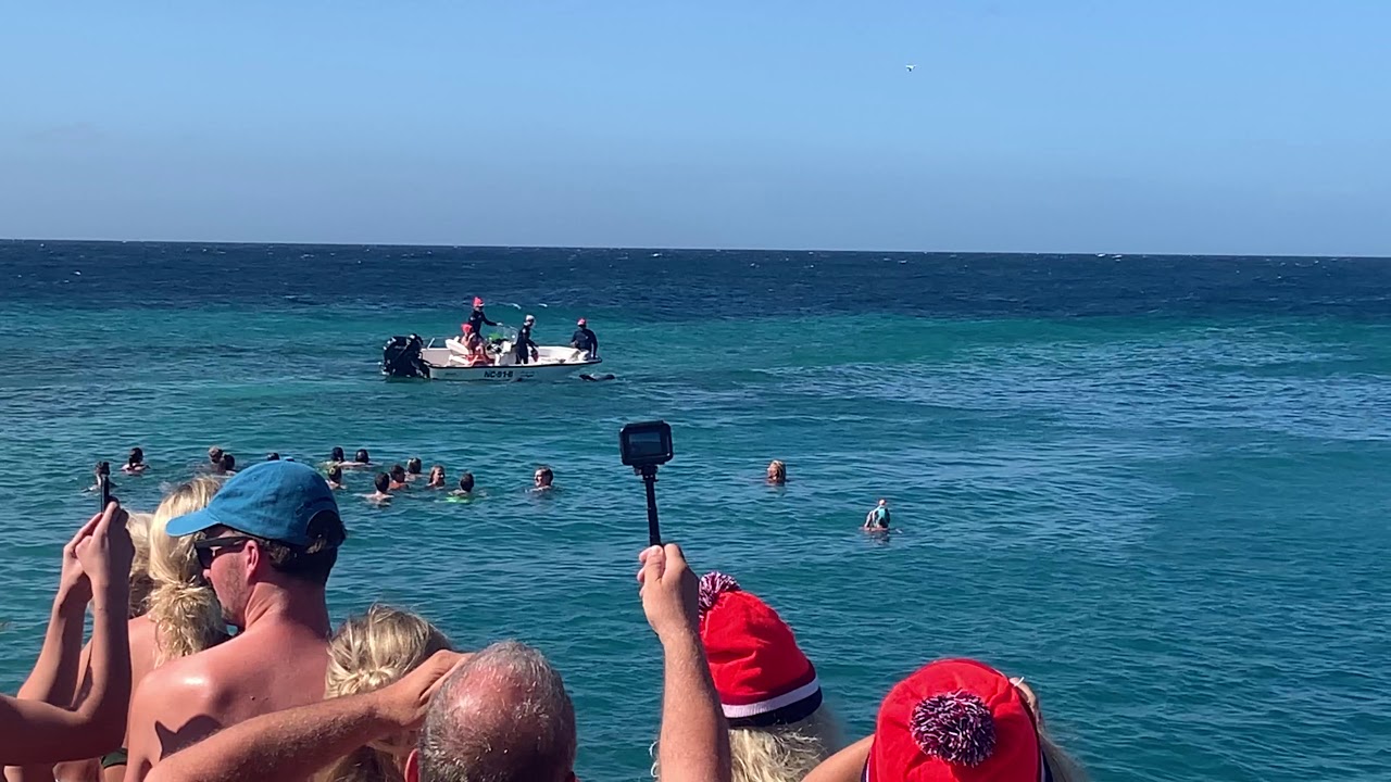 Dolfijnenshow Nieuwjaarsdag 01-2019 Zanzibar Curaçao Jan Thiel Beach
