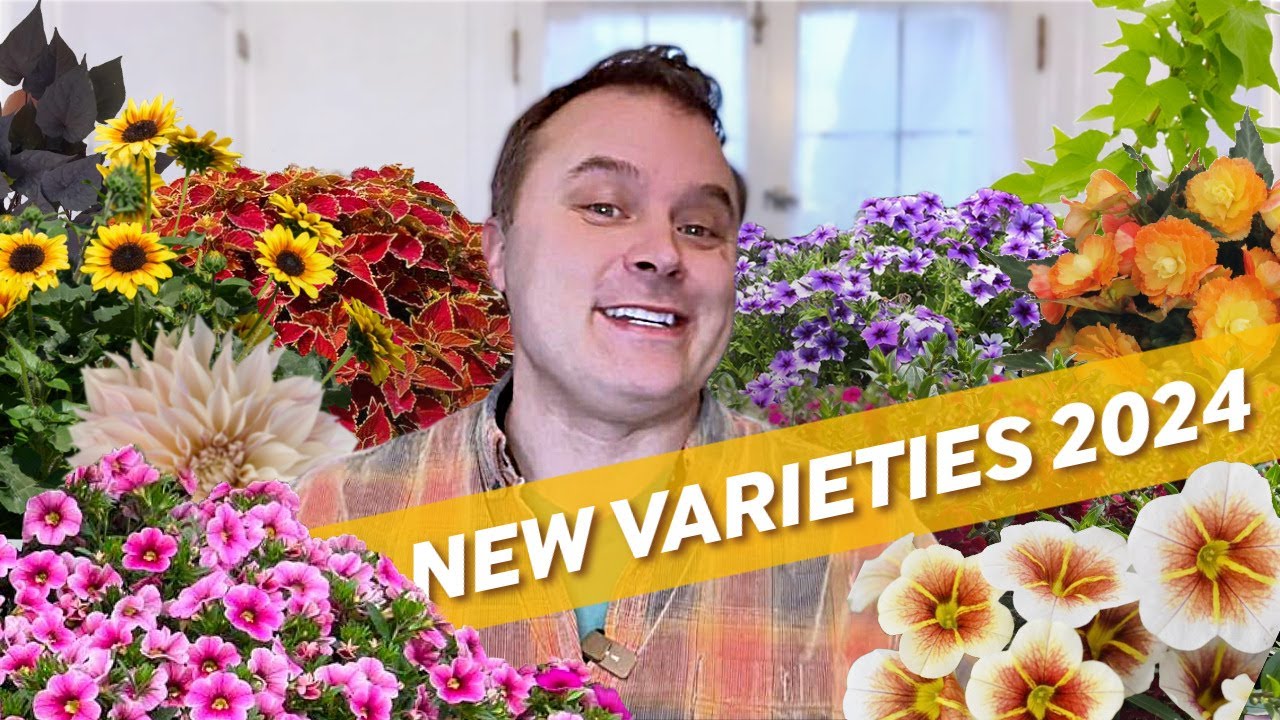 Best NEW Annuals 2024 - upgrade your hanging baskets, pots, and beds