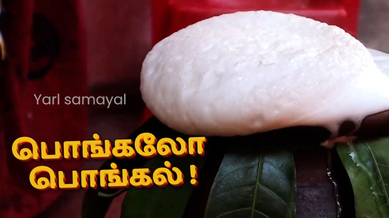 தைத்திருநாளுக்கு இருவகை பொங்கல் செய்வோம் வாங்க | 2 types of Pongal recipies tamil | Sankarai pongal