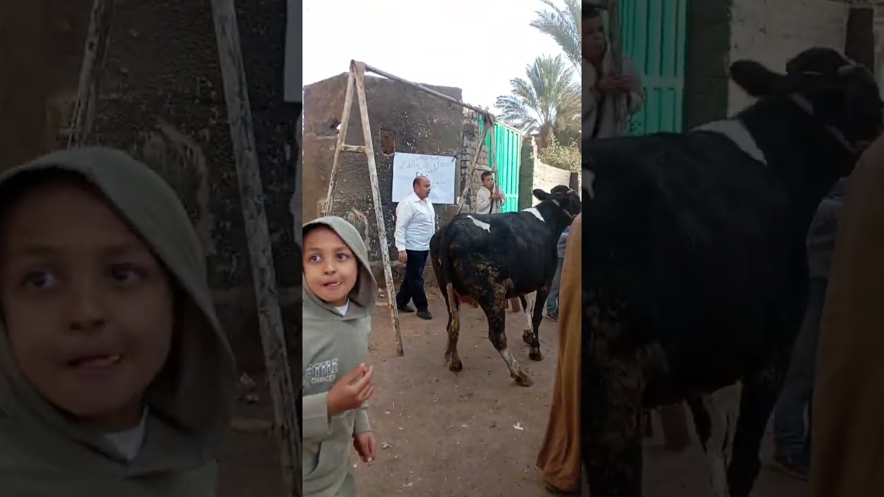 ٢٨ يناير ٢٠٢٦
