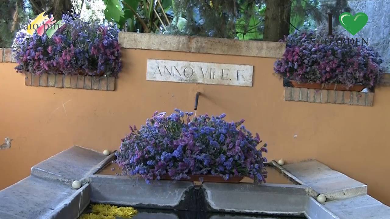 Borgo in Fiore Allestimento Fontanile Borgo Antico