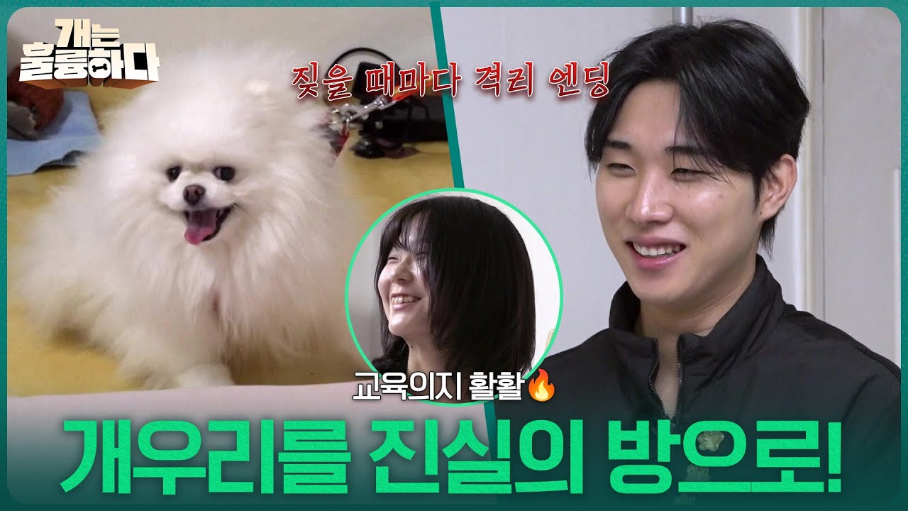 “ 개통령 개우리를 진실의 방으로! ” 최민혁의 저리가 교육으로 변화한 개우리!? [개는 훌륭하다] | KBS 260302 방송