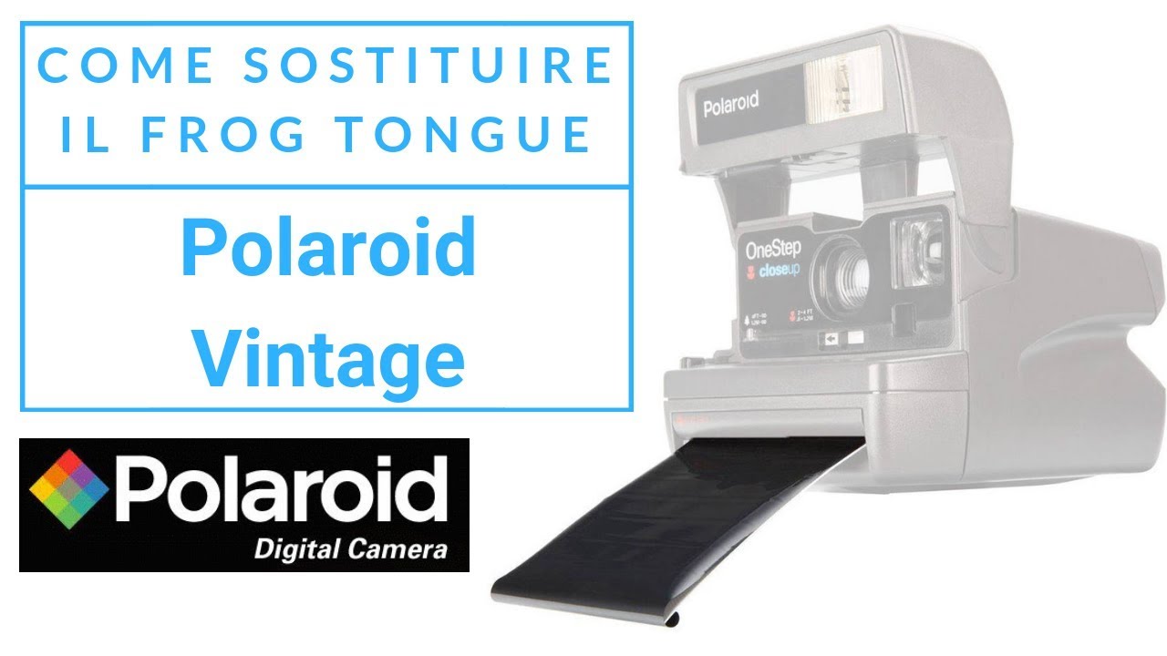 Polaroid Vintage - Come sostituire il Frog Tongue (o Film Shield) 📸 🎞